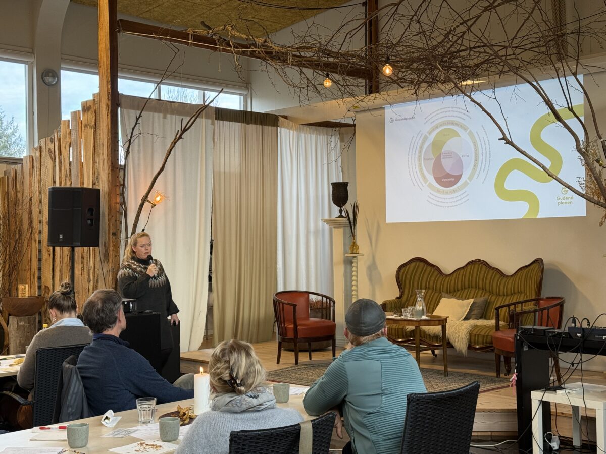 Sabina om Gudenaaplanen